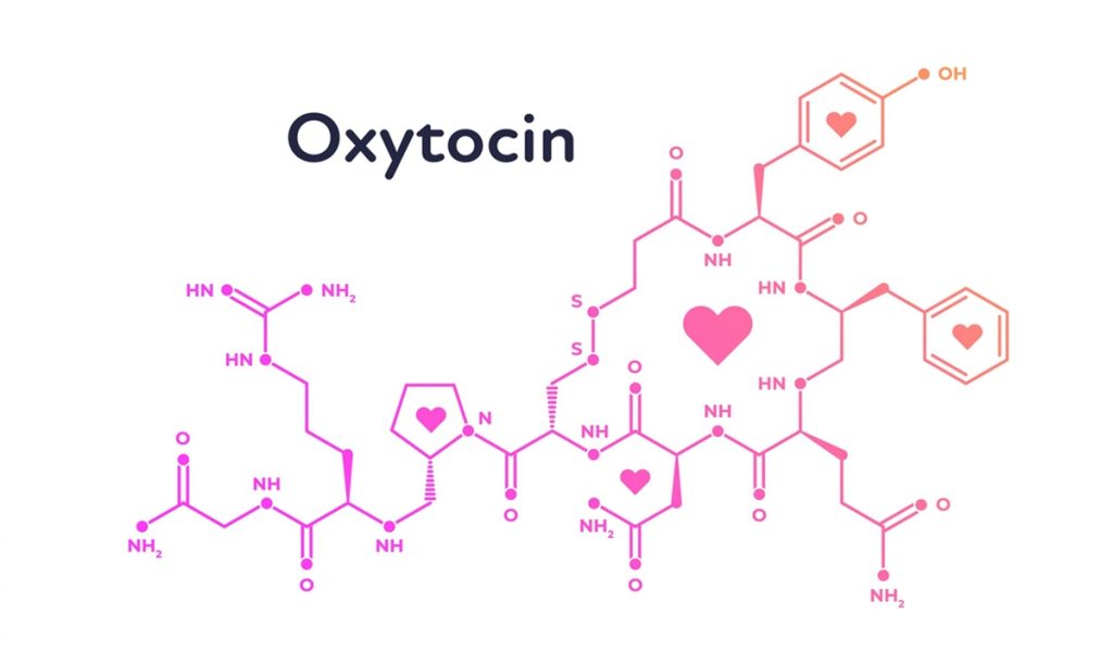 Oxytocin dan studi baru dari studi baru mengungkapkan kemungkinan penundaan kehamilan