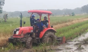 Pekerja Penyuluhan Pertanian Kalteg Siap mewujudkan diri -kiasan makanan