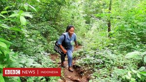 Pendidikan: Nasib guru kehormatan berjalan 6 km setiap hari, gaji hanya IDR 300.000