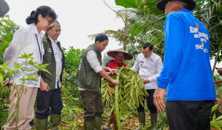 Periksa Kehutanan Sosial di Majalengka, Kementerian Kehutanan Memastikan Petani Hutan Dapat Memupuk