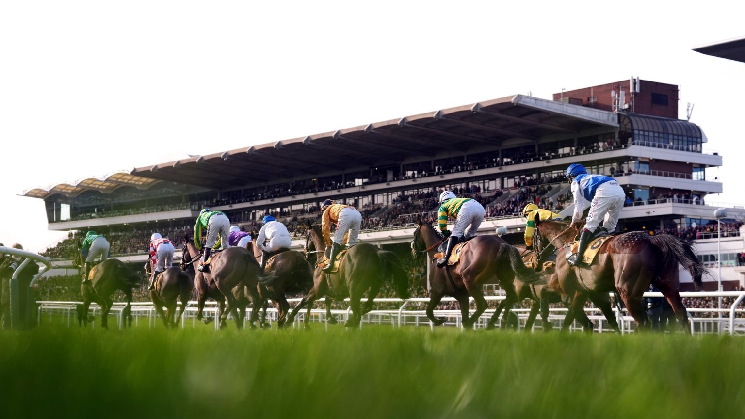 Racecards hari ini | Sky Sports Horse Racing