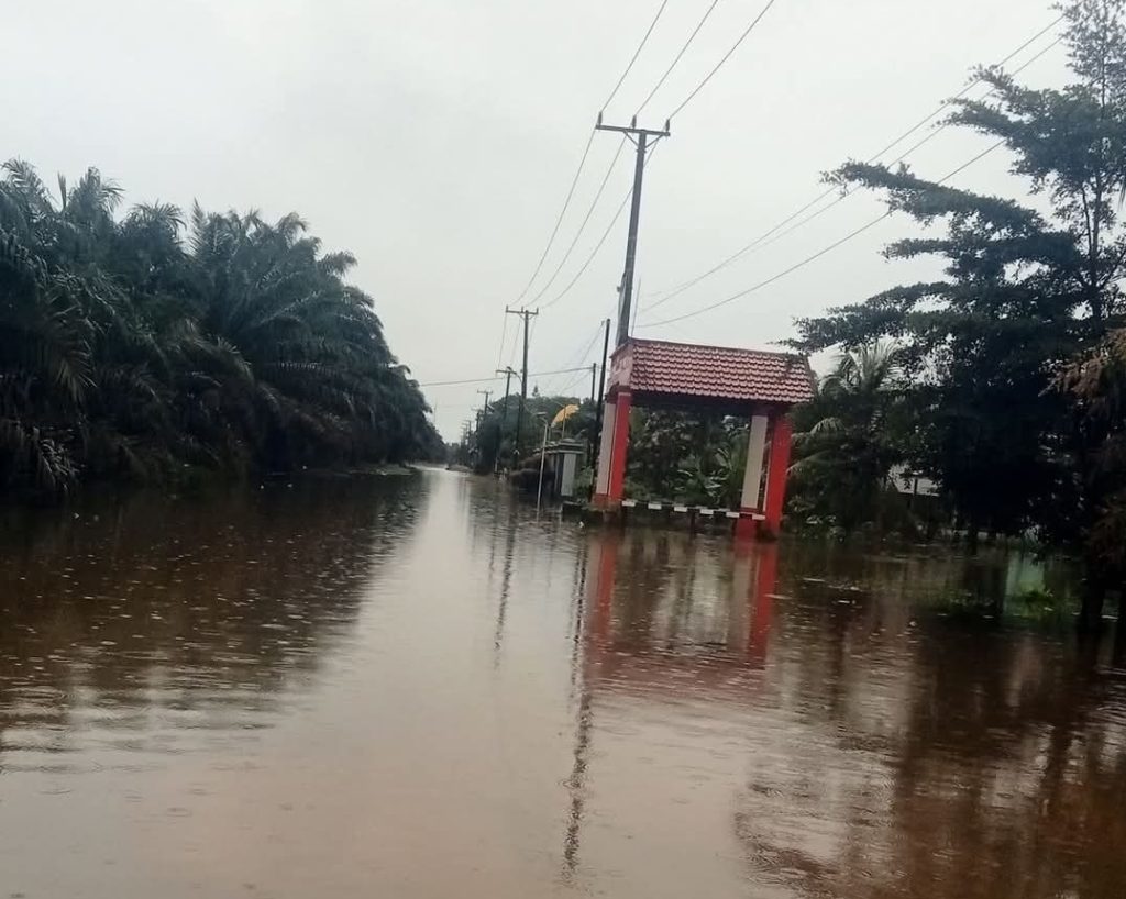 Tanggul Sungai Tuntang rusak, sejumlah sub -distrik di Grobogan kembali dibanjiri